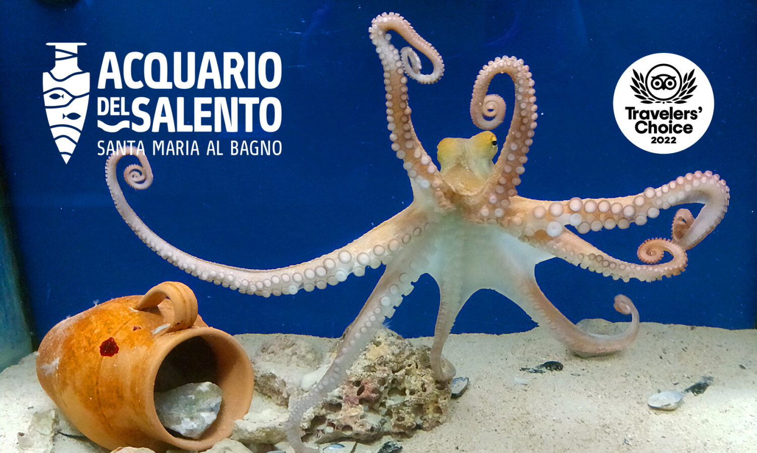 Acquario del Salento